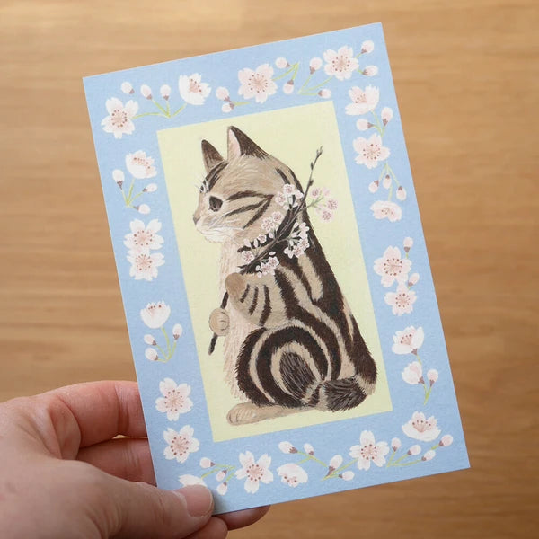 4legs Cats in Picture Books Postcard: Amesho