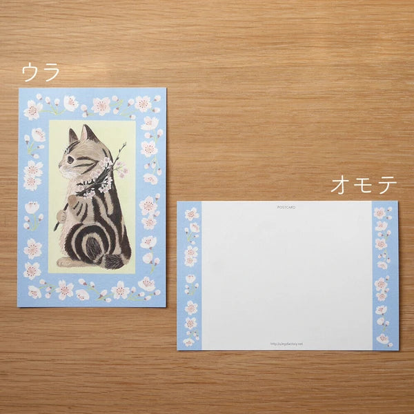 4legs Cats in Picture Books Postcard: Amesho