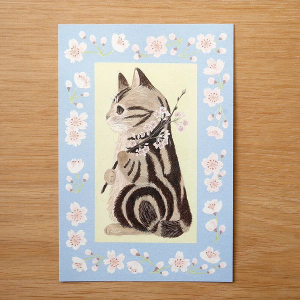 4legs Cats in Picture Books Postcard: Amesho