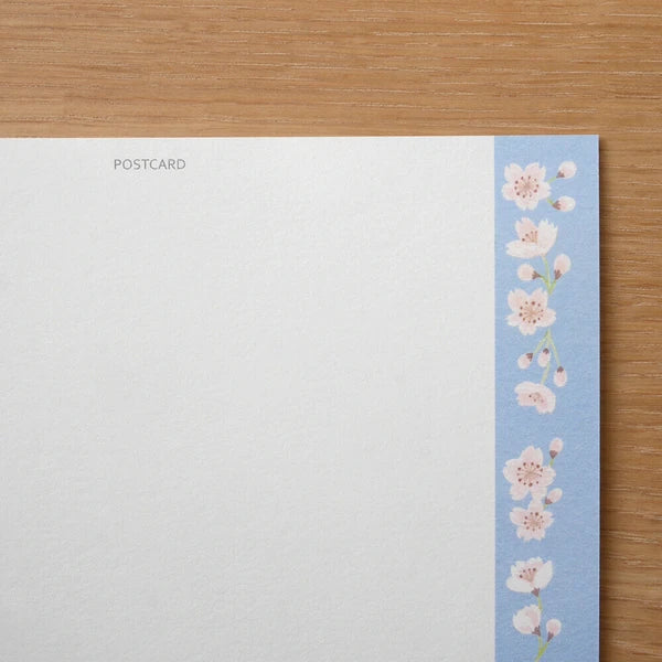 4legs Cats in Picture Books Postcard: Amesho
