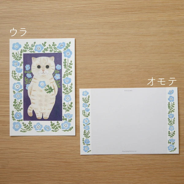 4legs Cats in Picture Books Postcard: Cream Cat