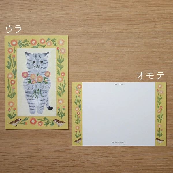 4legs Cats in Picture Books Postcard:  Sabatura