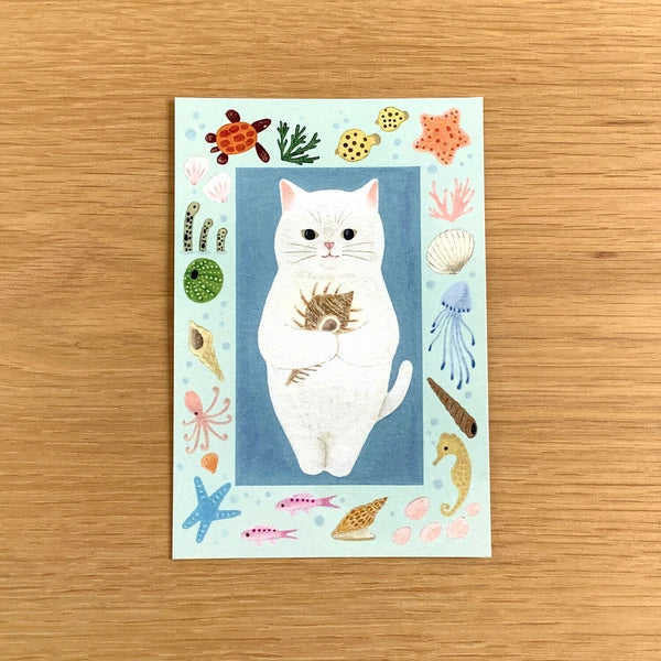 4legs Cats in Picture Books Postcard: White Cat