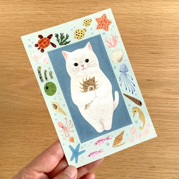 4legs Cats in Picture Books Postcard: White Cat