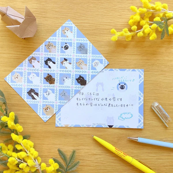 4legs Postcard: Cat Face