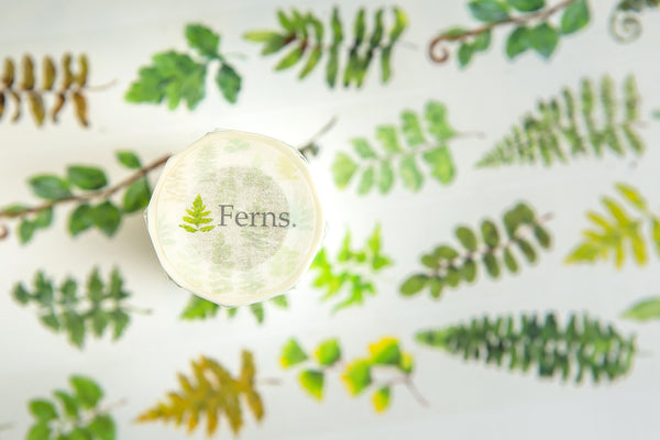 OURS Washi Tape: Ferns