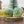 BGM Dotted Paintings Washi Tape: Ranch