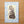 4legs Cats in Picture Books Postcard: Amesho