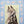 4legs Cats in Picture Books Postcard: Amesho