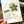 BGM Holiday Store Stickers: Stationery