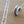 4legs Mushroom cat Washi Tape: Mushroom Cat