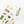 Kamiiso Sansyo X Tamura Miki Sticker: Garden Time