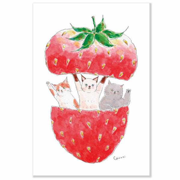 Tokoro Komugi Postcard: Strawberry Cats