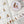 TONIKAKU HOKKAIDO x MA7 Washi Tape: Chibikuma Mustache