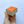 4legs Mushroom Cat Stamp: Cat Friend