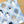 4legs Postcard: Cat Face