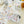 Pion 2015 Washi Tape: Cat (PET)