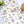Mind Wave Merry Friends Sticker: Exploration of Rabbits