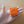 4leg Mushroom Cat Stamp: Hanbunko