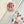 Pion 2015 Washi Tape: Coaster (Die Cut)