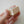 4legs Mushroom Cat Stamp: Apple Picking