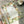 BGM My Desk Washi Tape: Botanist