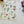 Pion 2015 Deco Sticker: Green