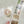 Pion 2015 Washi Tape: Candy Paper (Die Cut)