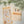 Lipton x Furukawa Collaboration: Bear Tea Stand