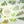 OURS Washi Tape: Ferns