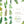 OURS Washi Tape: Ferns