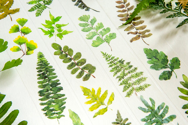 OURS Washi Tape: Ferns
