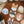OURS Dogs Party Sticker Pack