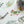 OURS Washi Tape: Wild Wreath