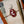 OURSBook Band Accessory: Red Bird