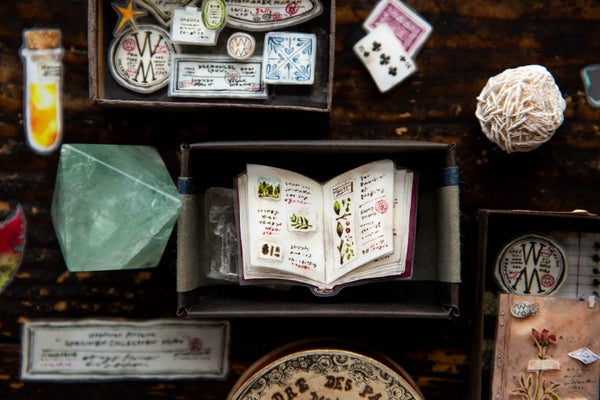 OURS Washi Tape: Desk of Botanist